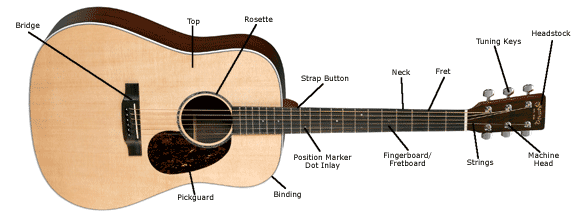 Acoustic Guitar