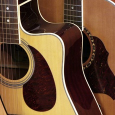 Acoustic Guitars