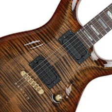 Carvin CT6M